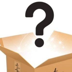 WOMEN’S SIZE M CLOTHING MYSTERY BUNDLE browns blues neutrals varies